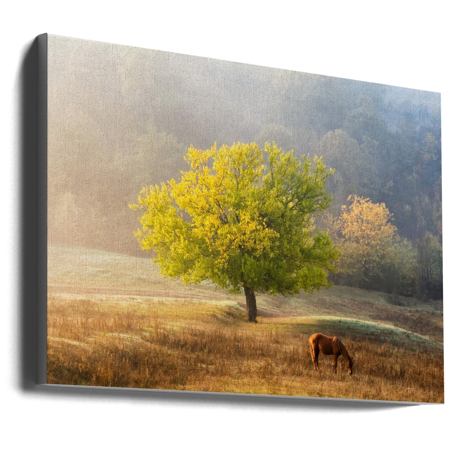 Tree of Life Canvas Print by Sebastian Prioteasa-Canvas Print-DECOROLALA