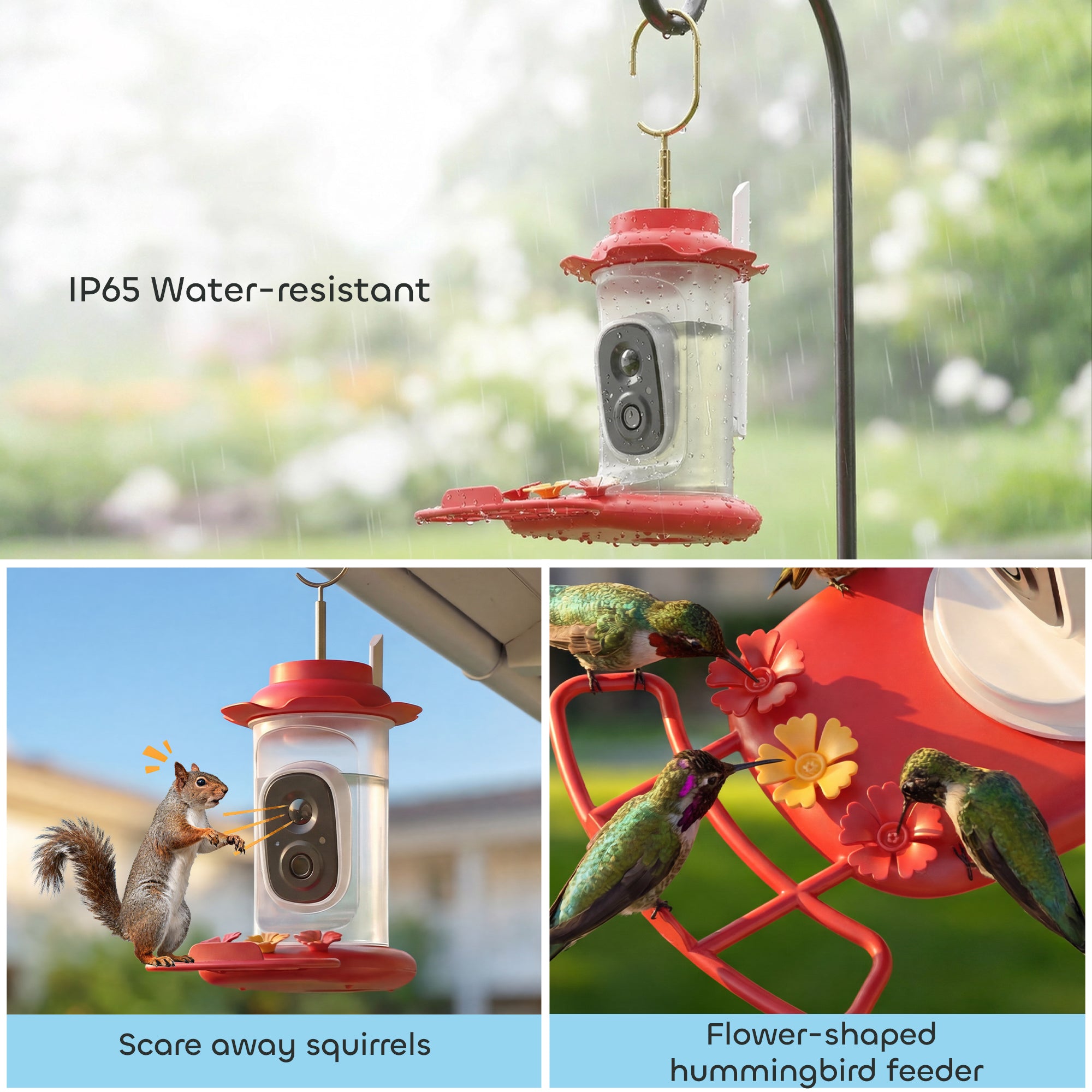 Smart Bird Feeder with Camera, AI Identify 16000 Birds, 2K HD Live Video, 3W Solar, Instant Arrival Alerts
