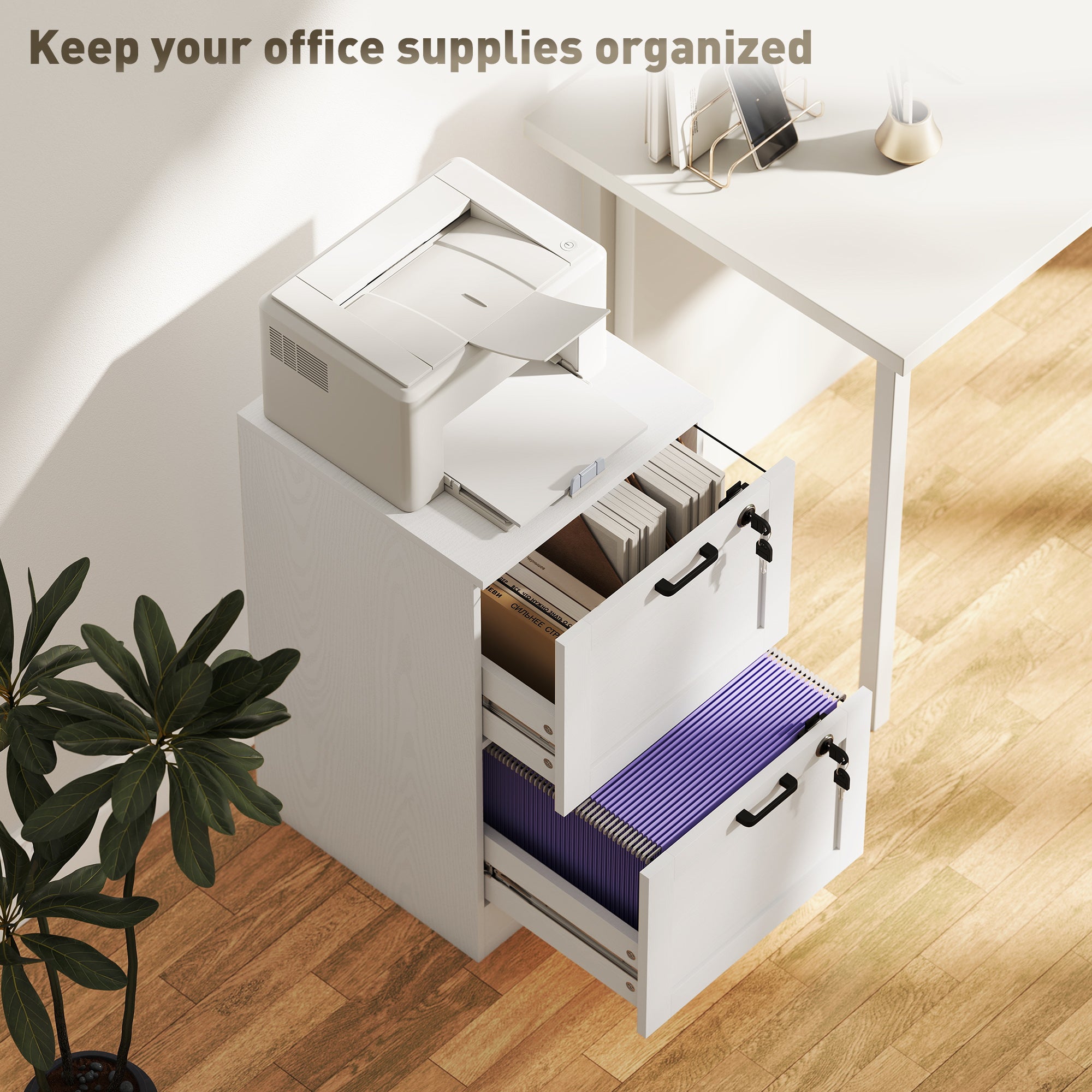 Vertical Filing Cabinet with 2 Drawers, Lock, File Cabinet for Home Office, A4 and Letter Size Files, White-Office Products > Office Furniture > Office Cabinets & Cupboards-DECOROLALA