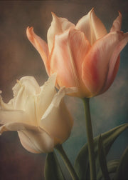 Vintage Flowers 2 Wall Art by Bilge Paksoylu-canvas-DECOROLALA