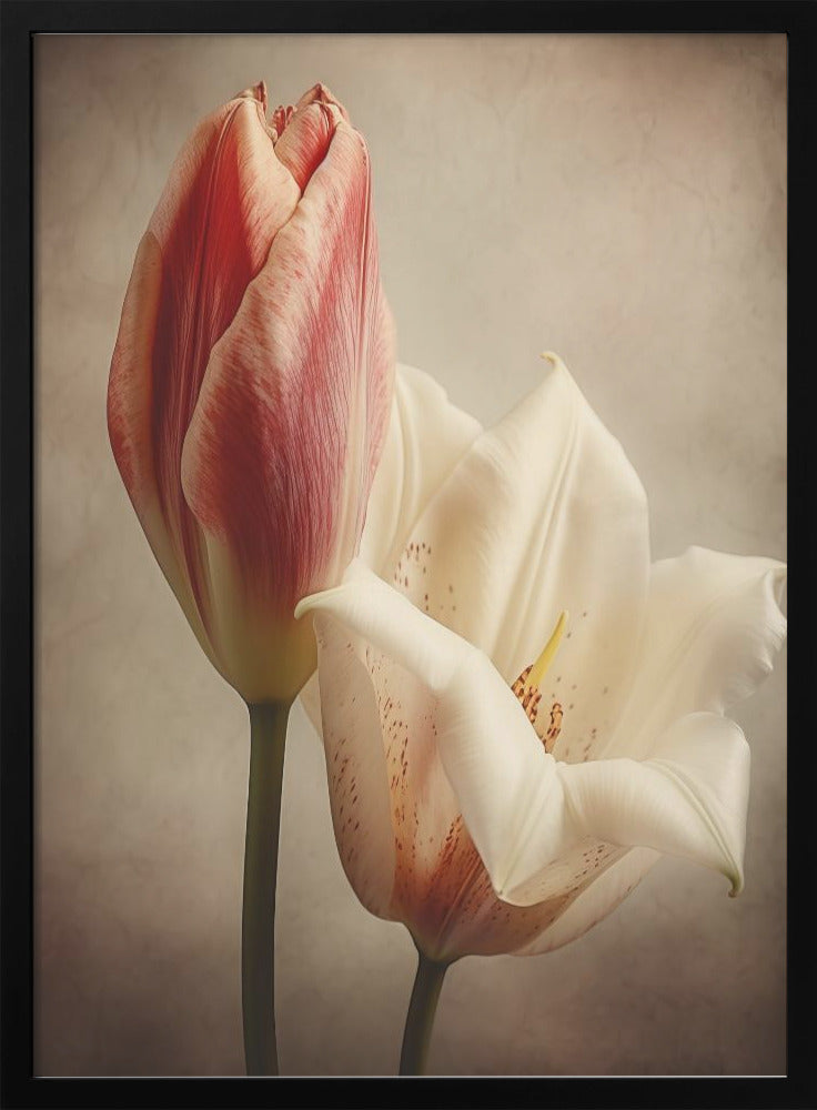 Vintage Flowers 3 Wall Art by Bilge Paksoylu-canvas-DECOROLALA