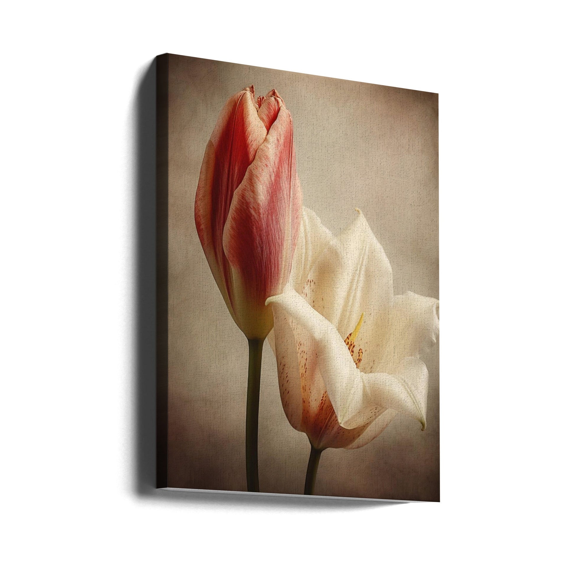 Vintage Flowers 3 Wall Art by Bilge Paksoylu-canvas-DECOROLALA