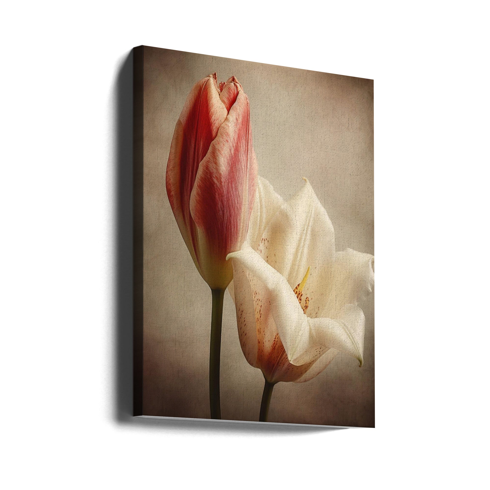 Vintage Flowers 3 Wall Art by Bilge Paksoylu-canvas-DECOROLALA