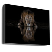 Wall Art A Lion at The Night by Jun Zuo-canvas-DECOROLALA