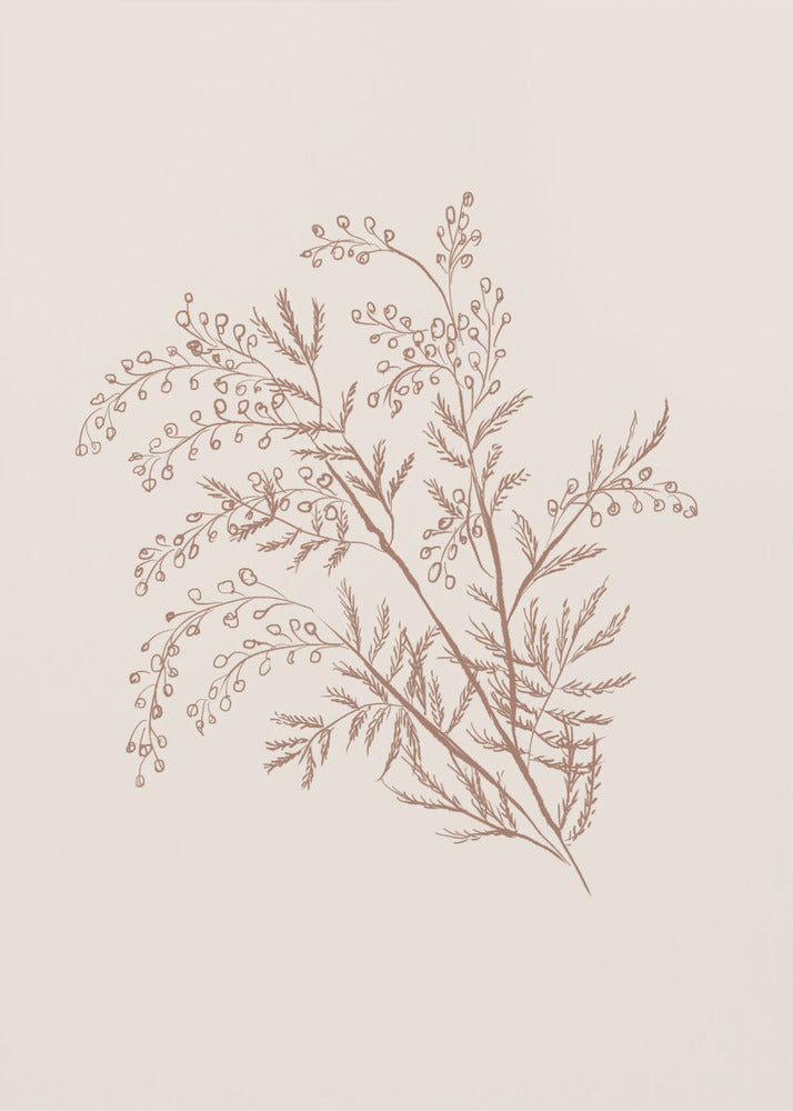 Wall Art Acacia Botanical Branch Canvas Print-Canvas Print-DECOROLALA