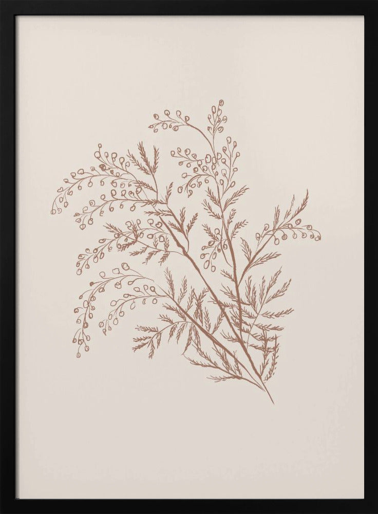 Wall Art Acacia Botanical Branch Canvas Print-Canvas Print-DECOROLALA