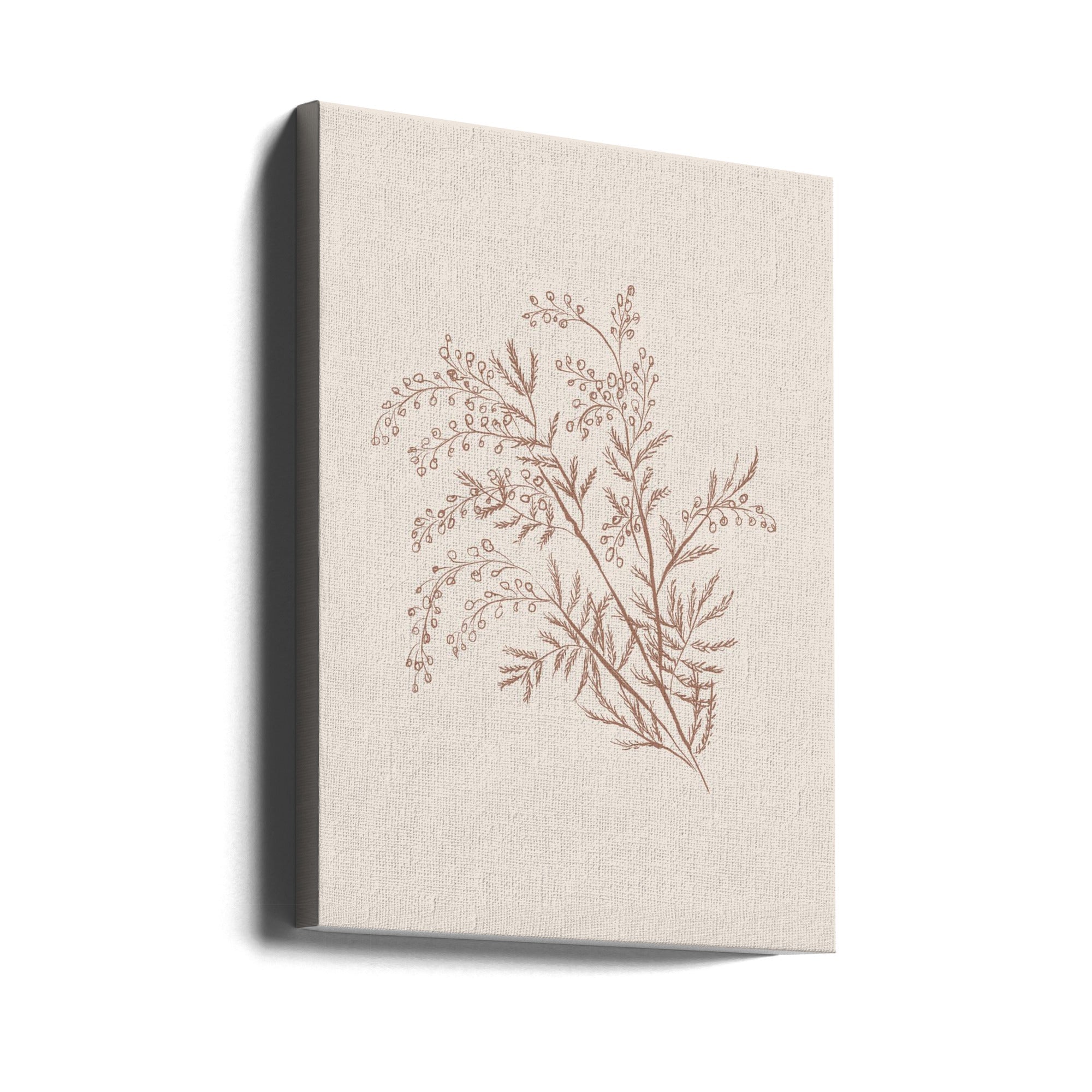 Wall Art Acacia Botanical Branch Canvas Print-Canvas Print-DECOROLALA