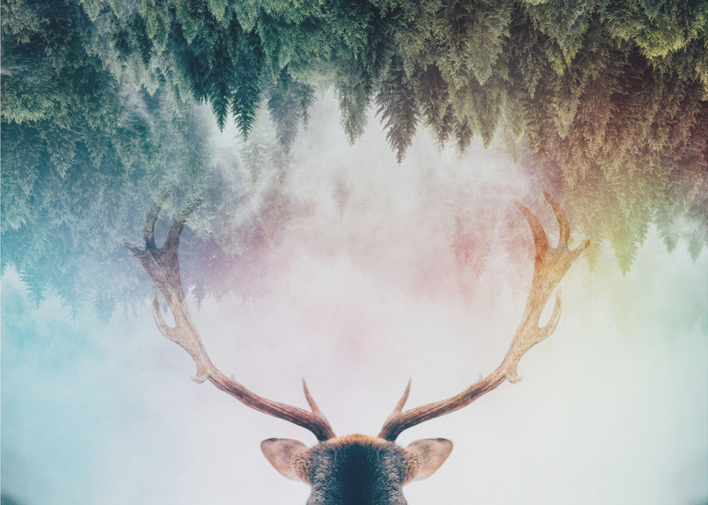 Wall Art Antler by Angyalosi Beta-canvas-DECOROLALA