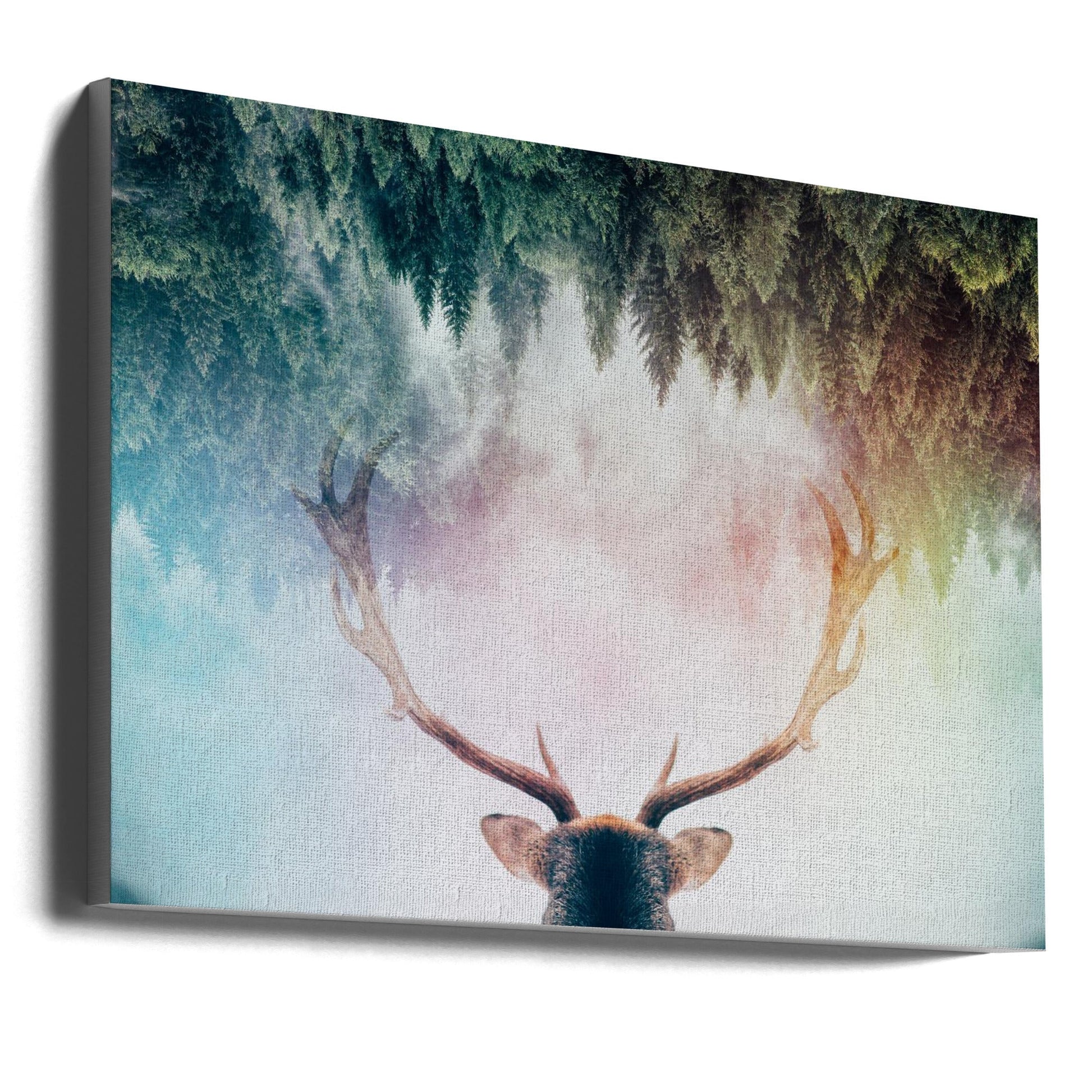 Wall Art Antler by Angyalosi Beta-canvas-DECOROLALA