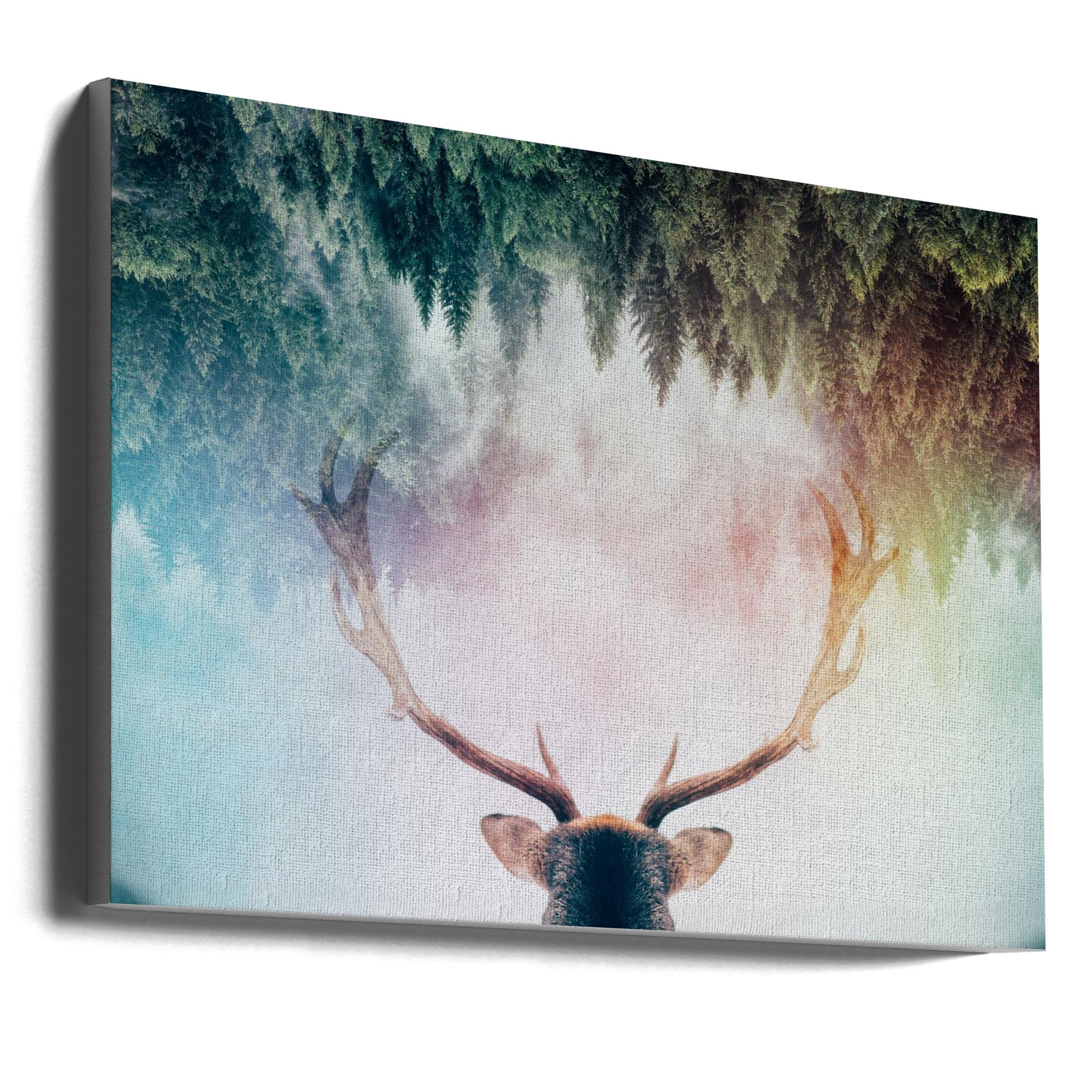 Wall Art Antler by Angyalosi Beta-canvas-DECOROLALA