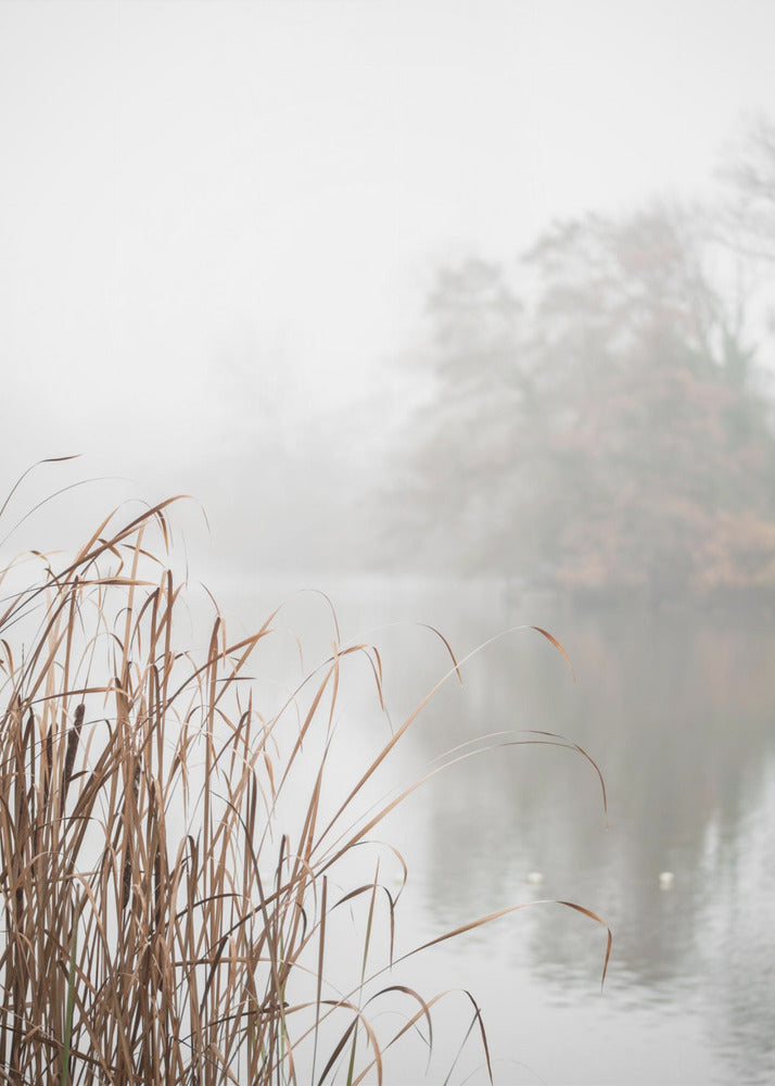 Wall Art At the Lake by Mareike Bhmer-canvas-DECOROLALA