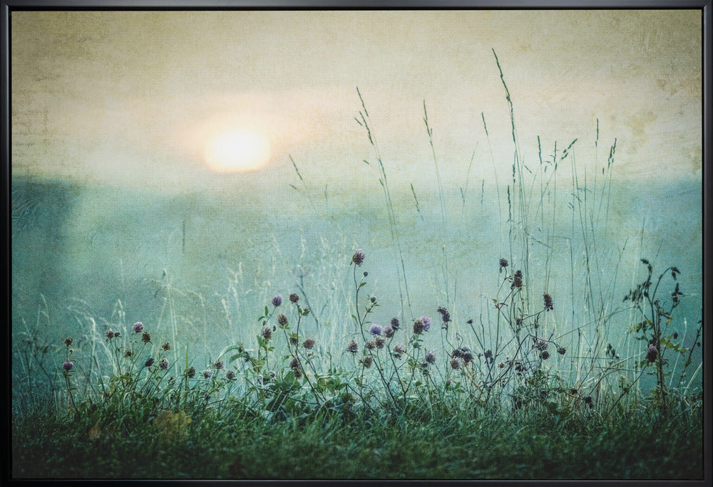 Wall Art Autumn Sunrise by çsmund Kv¾rnstr¿m-canvas-DECOROLALA