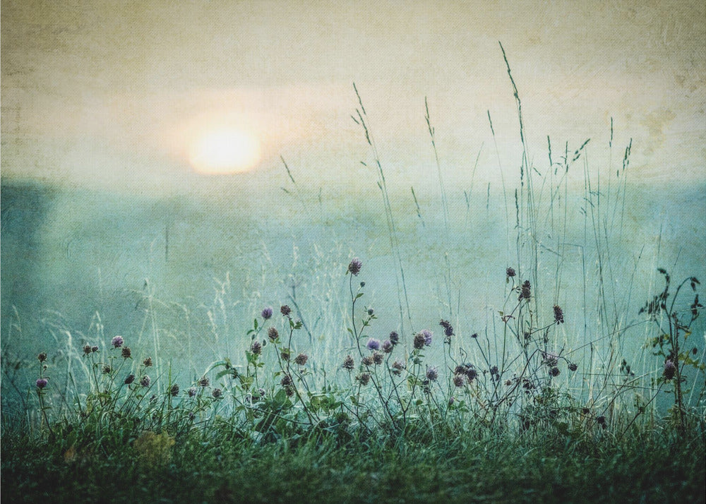 Wall Art Autumn Sunrise by çsmund Kv¾rnstr¿m-canvas-DECOROLALA