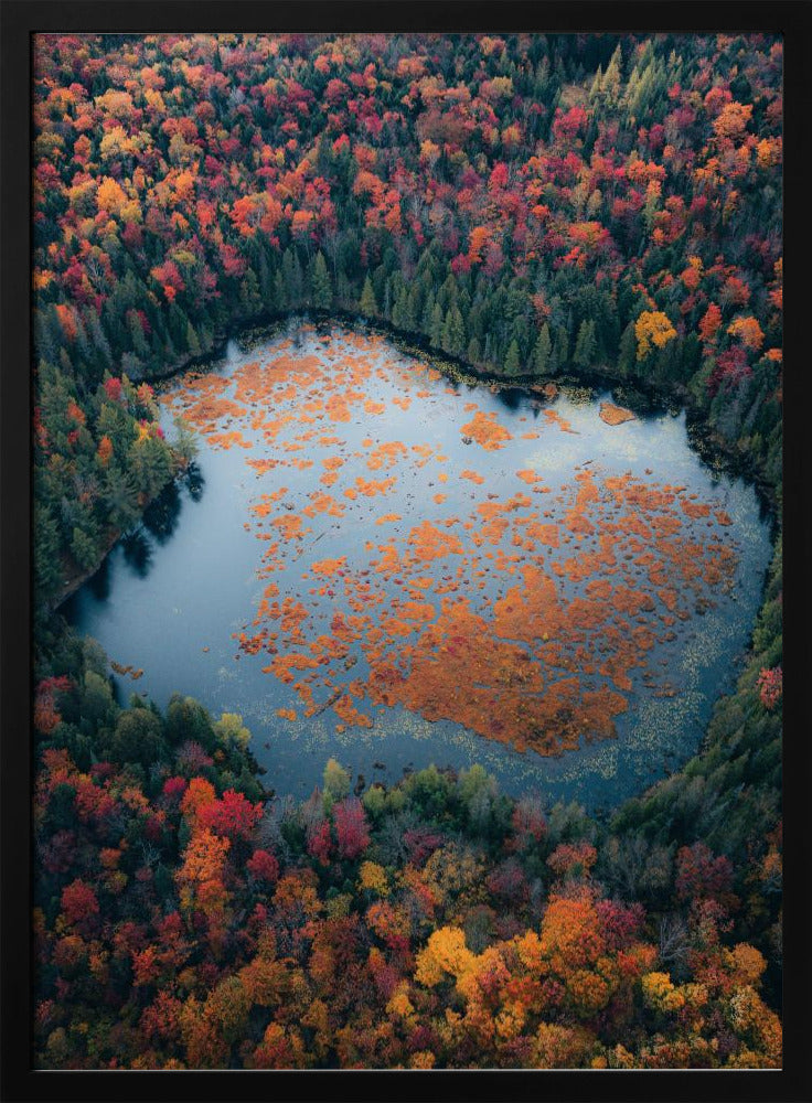 Wall Art Autumn at the Lake by Rakesh Baro-Canvas Print-DECOROLALA