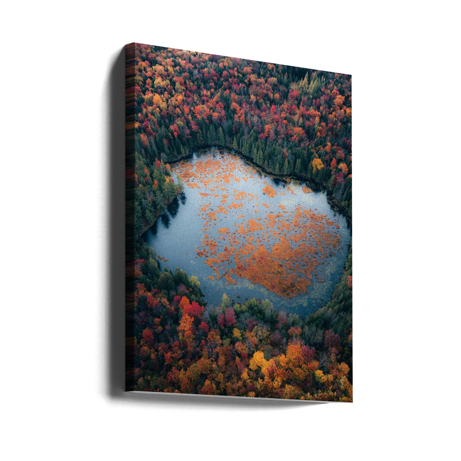 Wall Art Autumn at the Lake by Rakesh Baro-Canvas Print-DECOROLALA