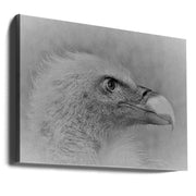 Wall Art Bald Eagle Canvas Print-Canvas Print-DECOROLALA