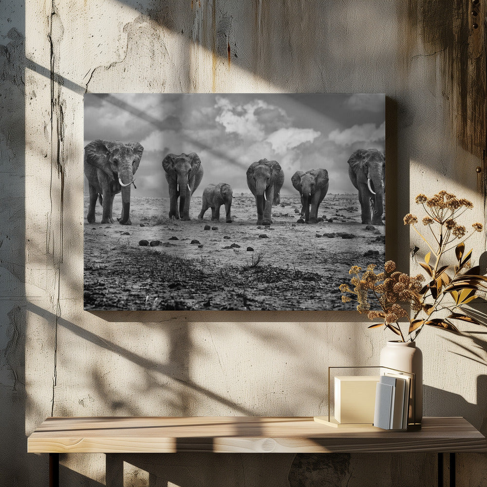 Wall Art Big Family Elephants by Marcel Rebro-Canvas Print-DECOROLALA