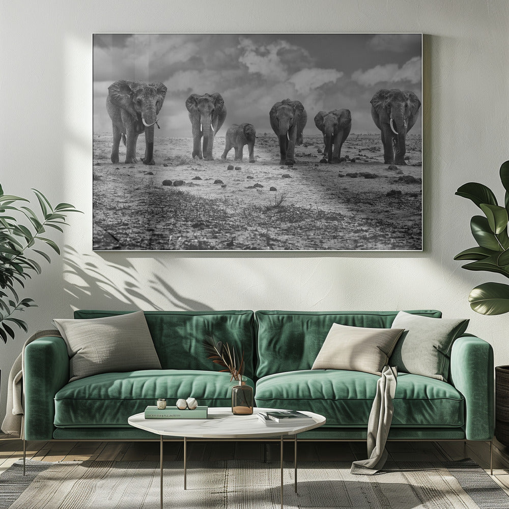 Wall Art Big Family Elephants by Marcel Rebro-Canvas Print-DECOROLALA