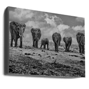 Wall Art Big Family Elephants by Marcel Rebro-Canvas Print-DECOROLALA