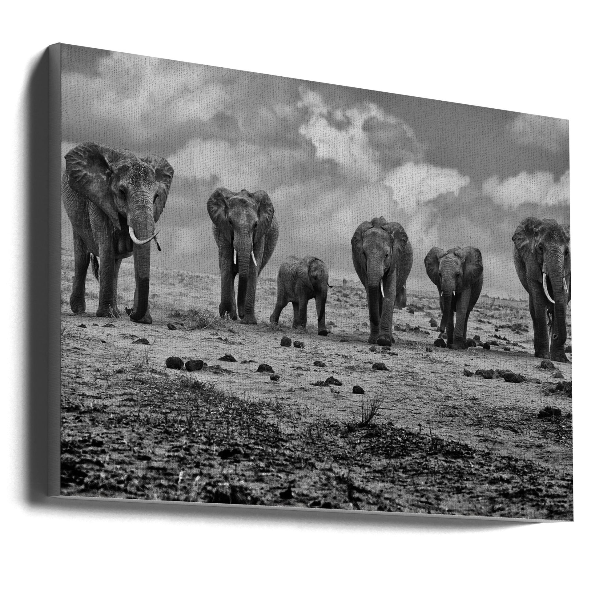 Wall Art Big Family Elephants by Marcel Rebro-Canvas Print-DECOROLALA