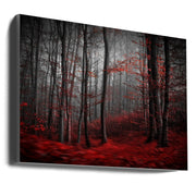Wall Art Bloody River by Samanta Krivec-Canvas Print-DECOROLALA