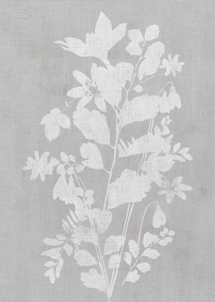 Wall Art Botanical Illustration 2 Canvas Print-Canvas Print-DECOROLALA