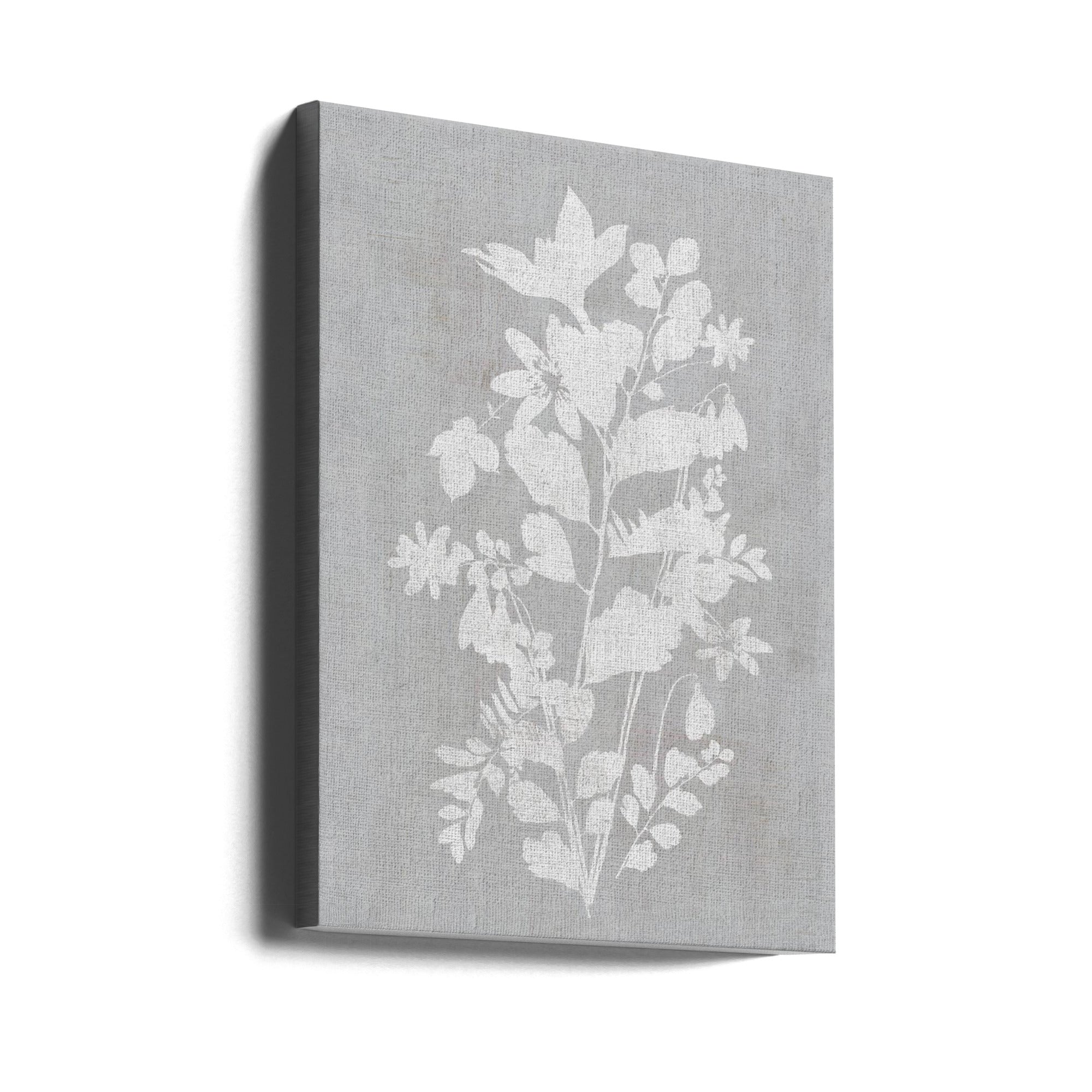 Wall Art Botanical Illustration 2 Canvas Print-Canvas Print-DECOROLALA