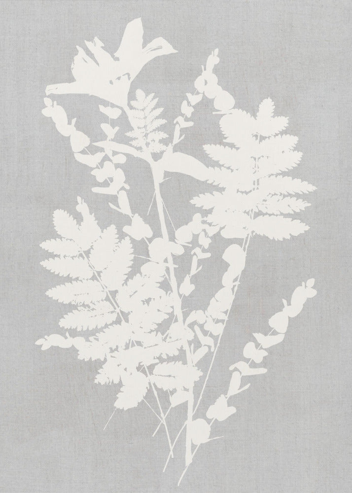 Wall Art Botanical Illustration 5 Canvas-Canvas Print-DECOROLALA