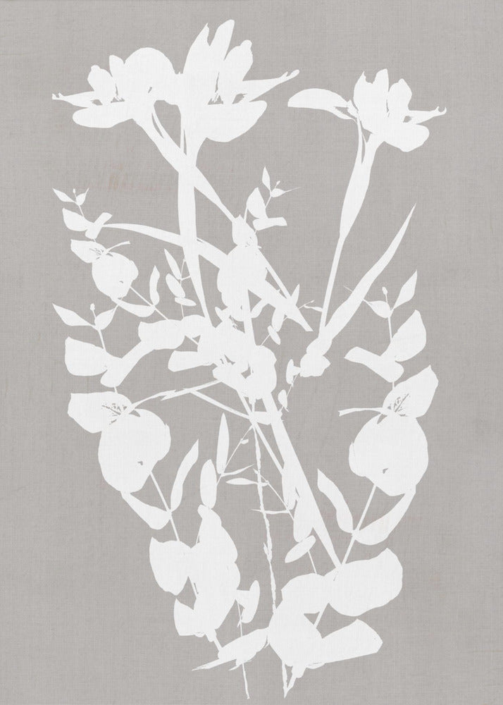 Wall Art Botanical Illustration Canvas Print-Canvas Print-DECOROLALA