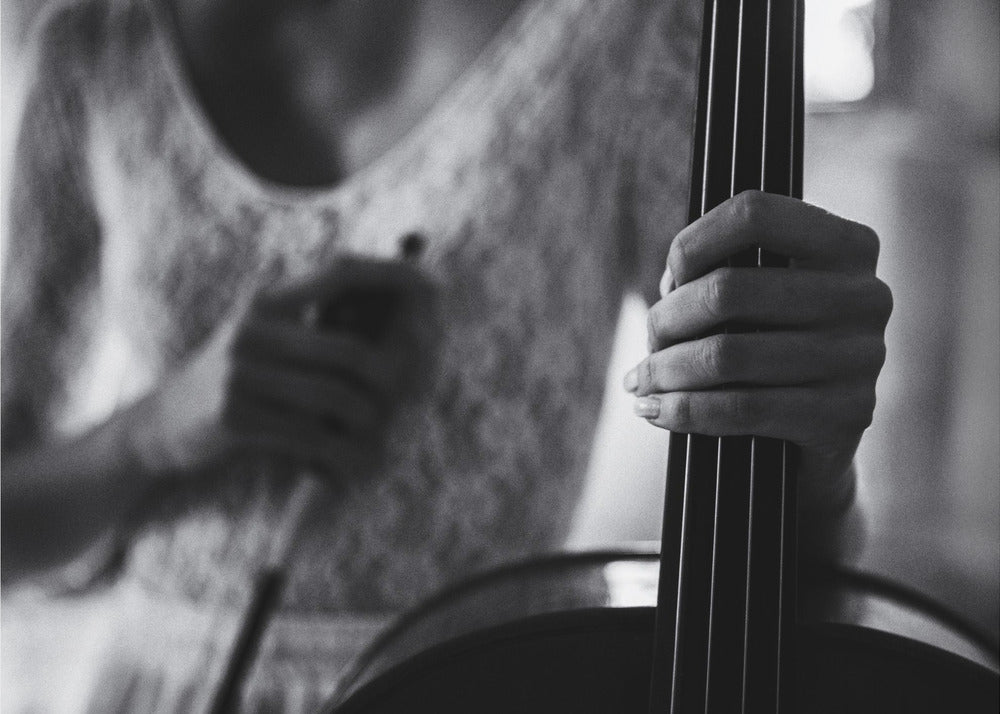 Wall Art Break for the Cello by Roswitha Schleicher-Schwarz-Canvas Print-DECOROLALA