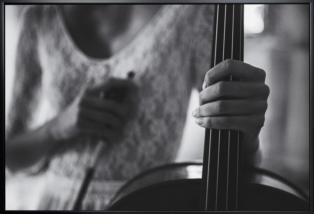 Wall Art Break for the Cello by Roswitha Schleicher-Schwarz-Canvas Print-DECOROLALA