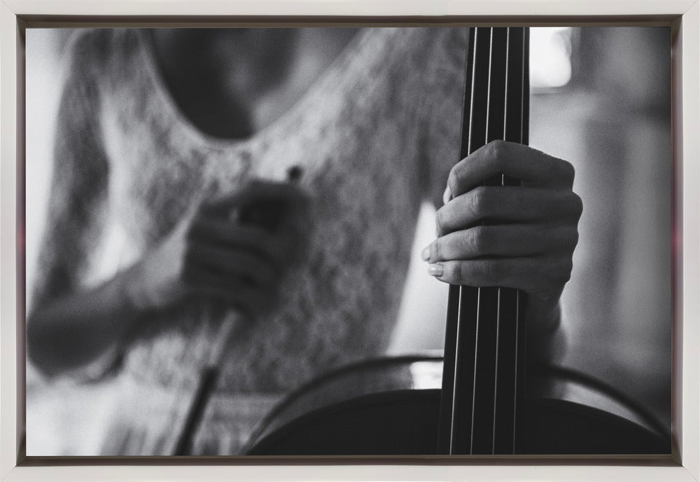 Wall Art Break for the Cello by Roswitha Schleicher-Schwarz-Canvas Print-DECOROLALA