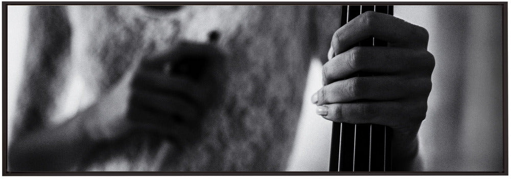 Wall Art Break for the Cello by Roswitha Schleicher-Schwarz-Canvas Print-DECOROLALA