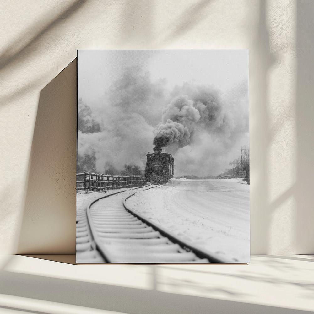 Wall Art Canvas Print Mocanita Hutulca-canvas prints-DECOROLALA