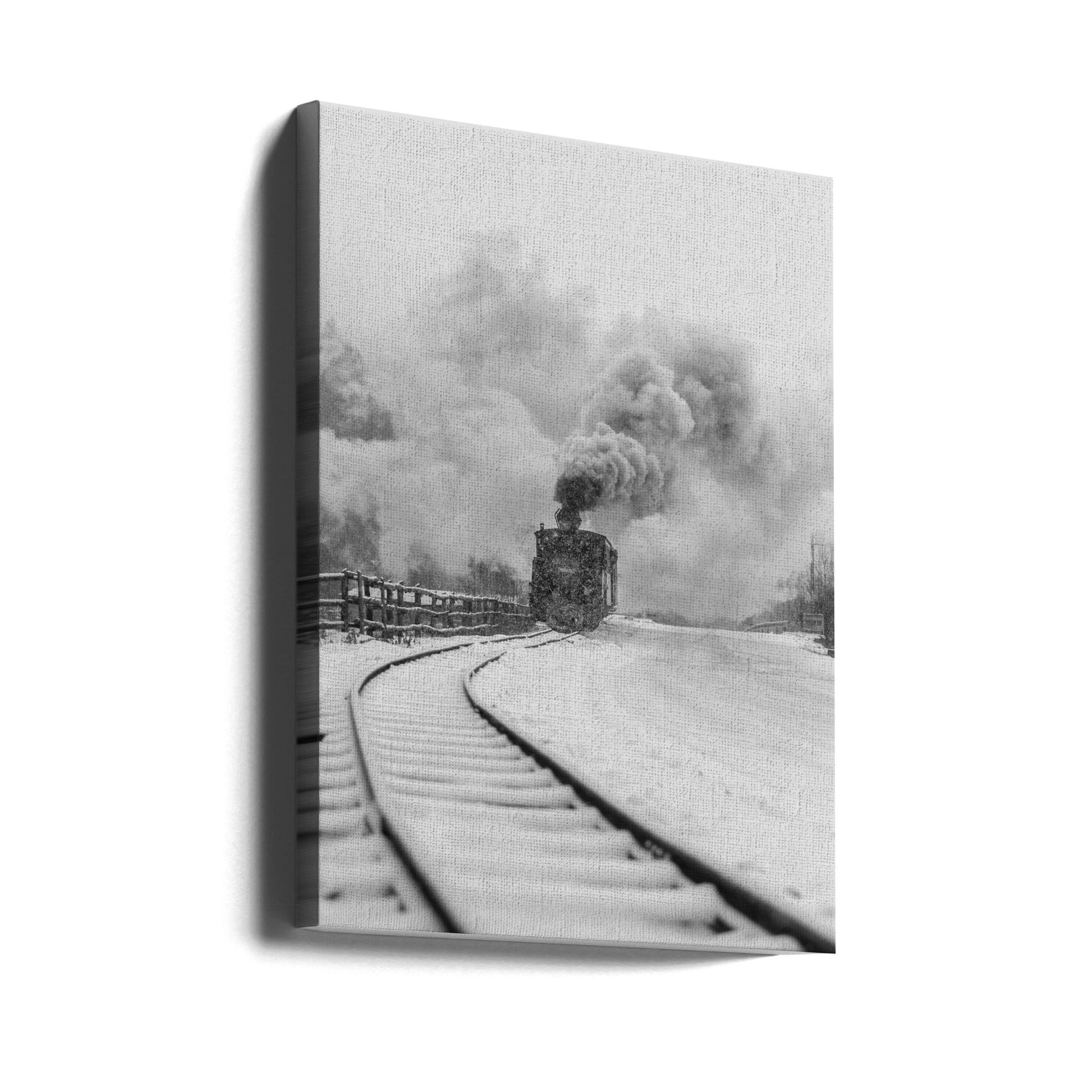Wall Art Canvas Print Mocanita Hutulca-canvas prints-DECOROLALA