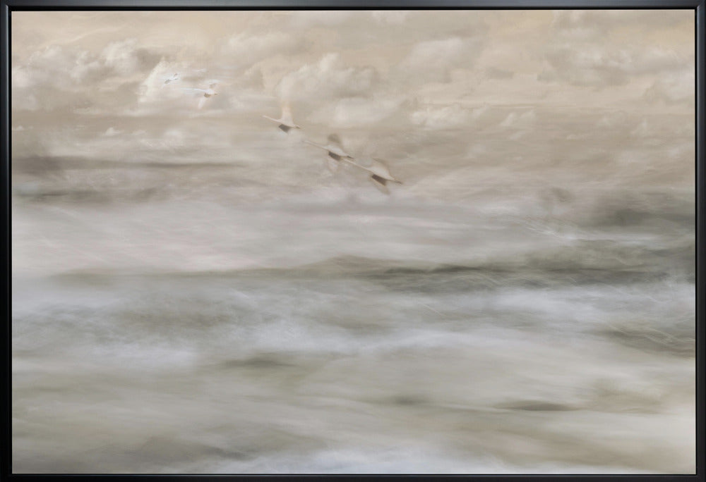Wall Art Canvas Print Swans Over Sea-Canvas Print-DECOROLALA