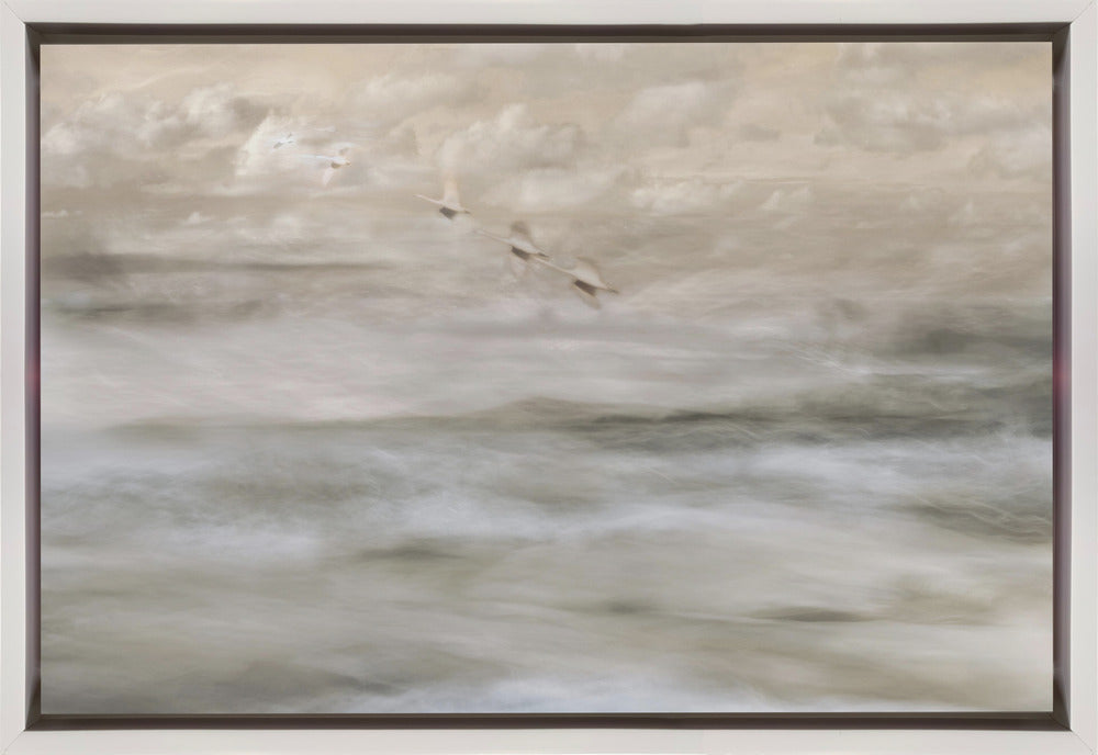Wall Art Canvas Print Swans Over Sea-Canvas Print-DECOROLALA