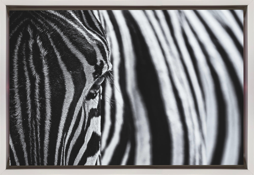 Wall Art Canvas Print "The Look of Nature"-Canvas Print-DECOROLALA