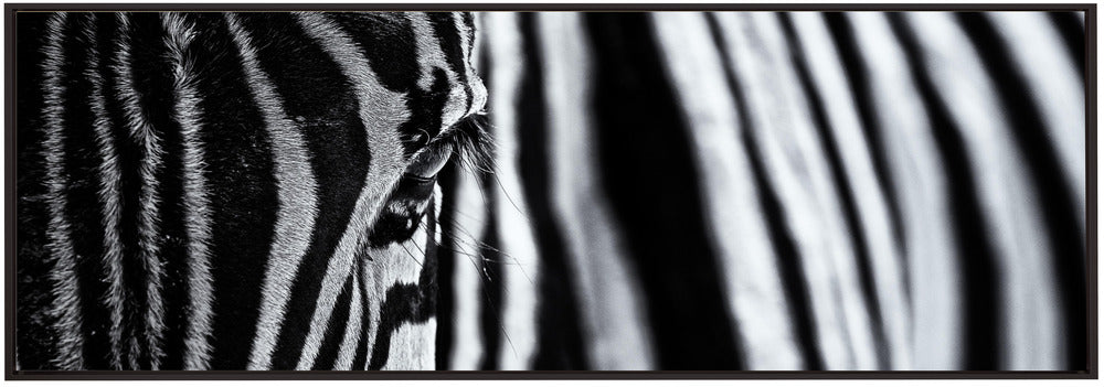 Wall Art Canvas Print "The Look of Nature"-Canvas Print-DECOROLALA