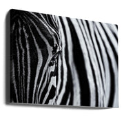 Wall Art Canvas Print "The Look of Nature"-Canvas Print-DECOROLALA