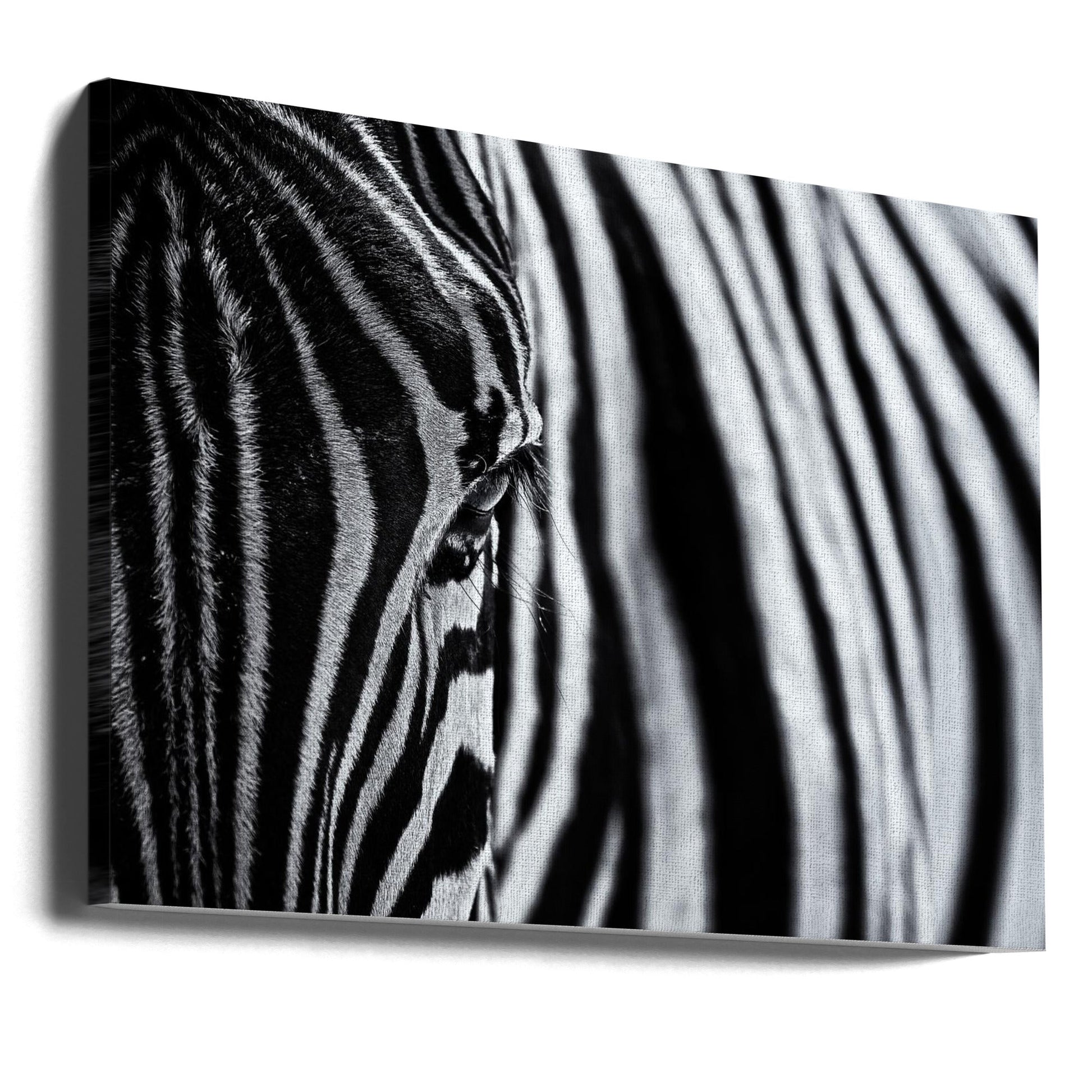 Wall Art Canvas Print "The Look of Nature"-Canvas Print-DECOROLALA