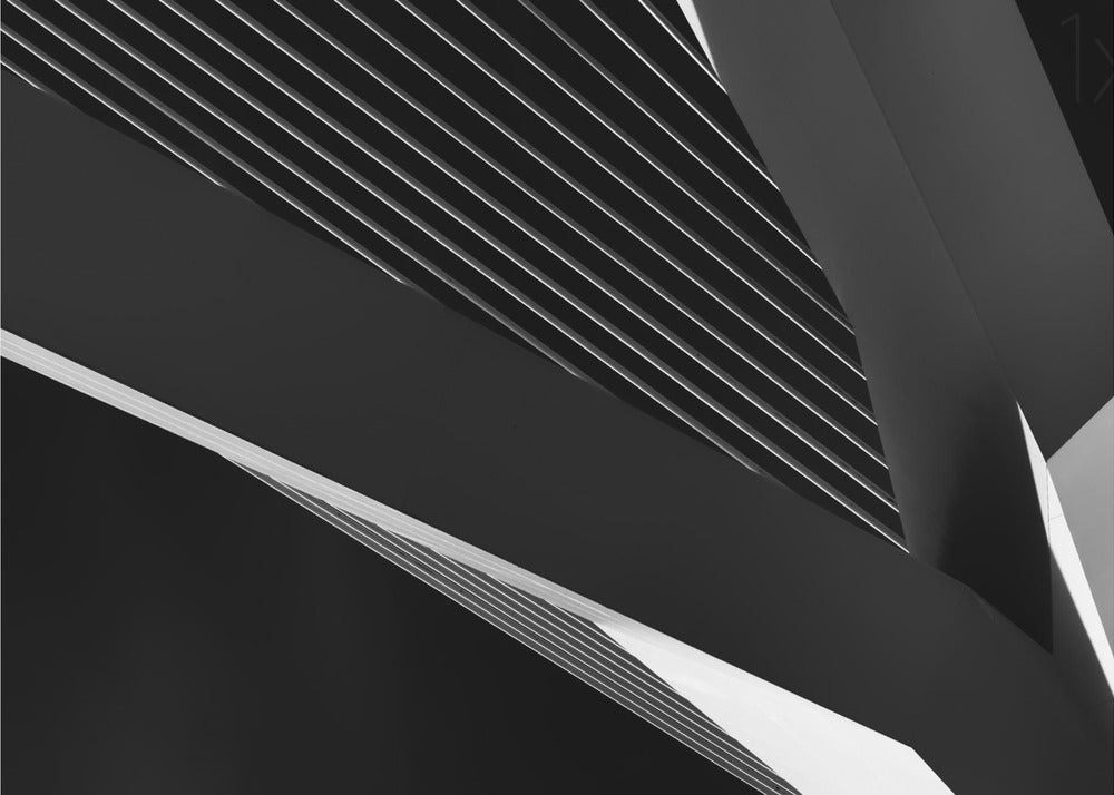 Wall Art Canvas: Swan Abstraction by Jeroen van de Wiel-Canvas Print-DECOROLALA
