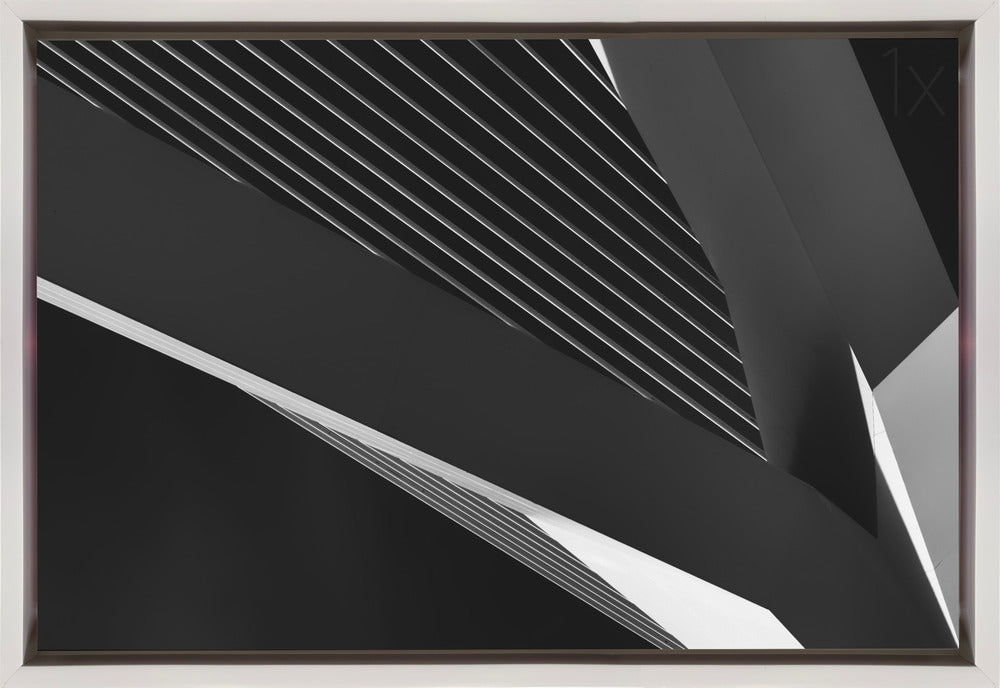 Wall Art Canvas: Swan Abstraction by Jeroen van de Wiel-Canvas Print-DECOROLALA