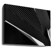 Wall Art Canvas: Swan Abstraction by Jeroen van de Wiel-Canvas Print-DECOROLALA