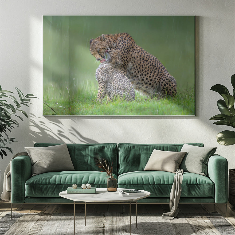 Wall Art Cheetah with Cub in the Rain by Xavier Ortega-Canvas Print-DECOROLALA