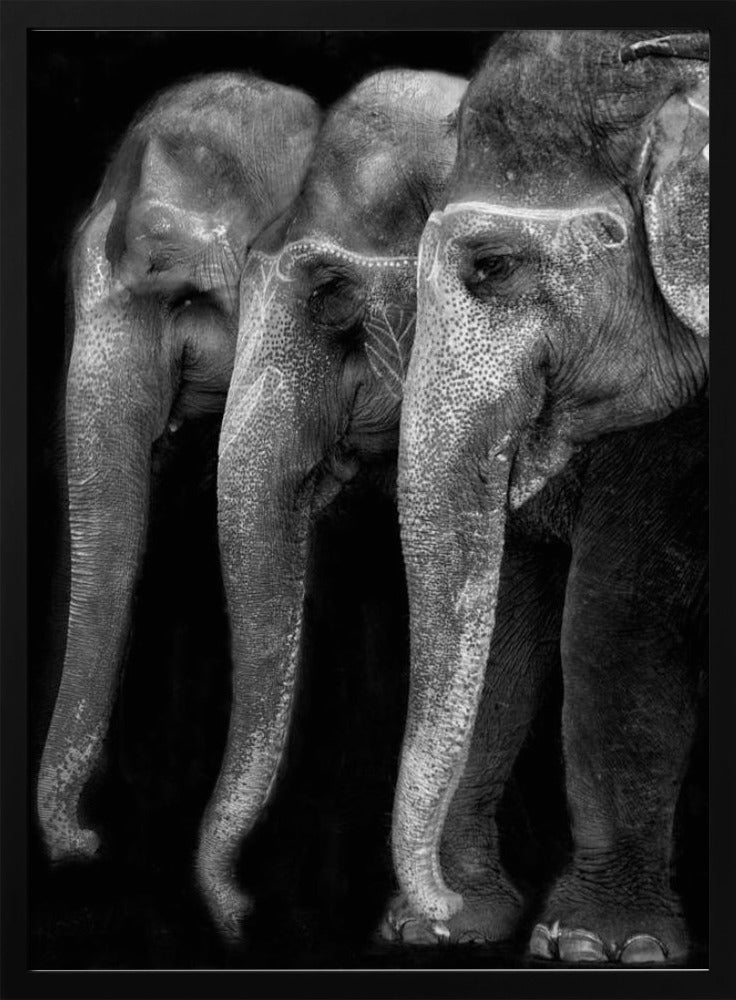 Wall Art - Elephant Nature's Masterpiece by Yvette Depaepe-Canvas Print-DECOROLALA