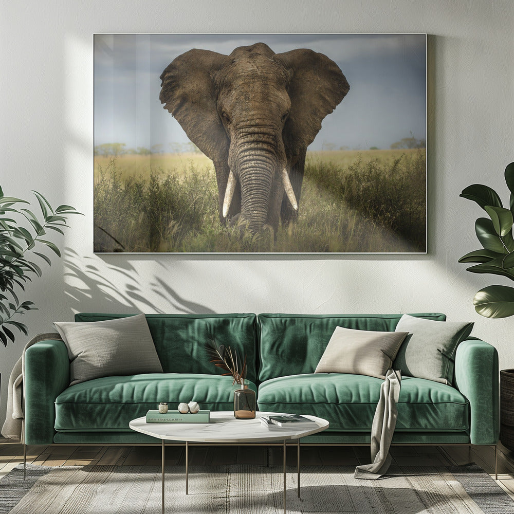Wall Art Encounters in Serengeti Elephant-Canvas Print-DECOROLALA