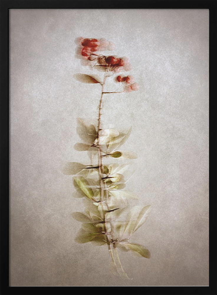 Wall Art "Exposed" by Cicek Kiral-Canvas Print-DECOROLALA