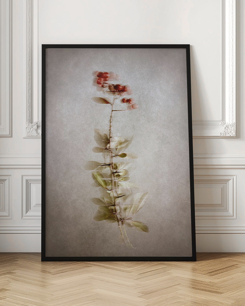 Wall Art "Exposed" by Cicek Kiral-Canvas Print-DECOROLALA
