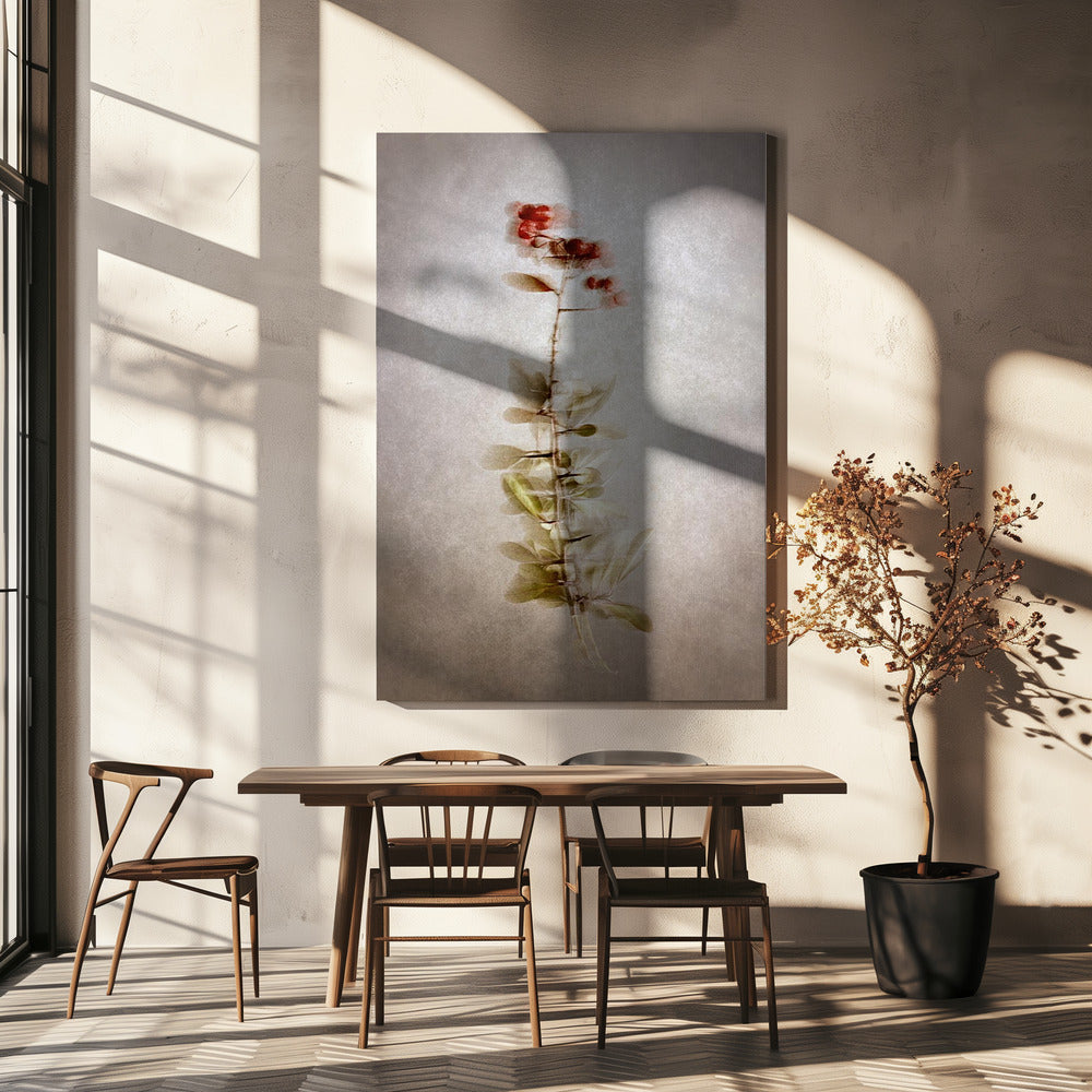 Wall Art "Exposed" by Cicek Kiral-Canvas Print-DECOROLALA